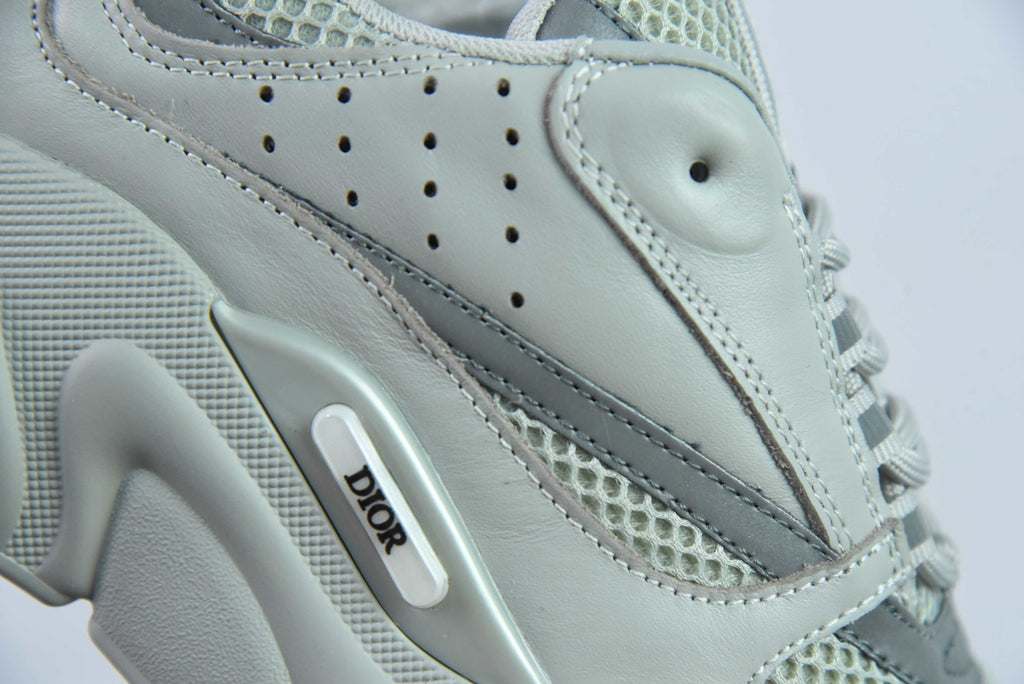 Dior B22 Gray