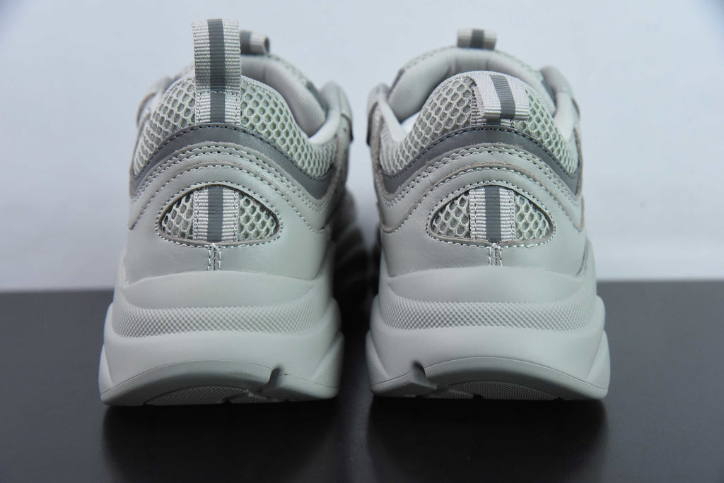 Dior B22 Gray