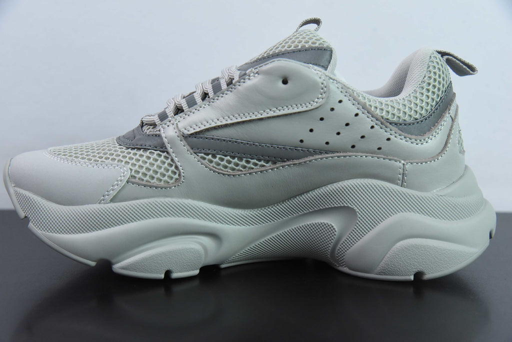 Dior B22 Gray