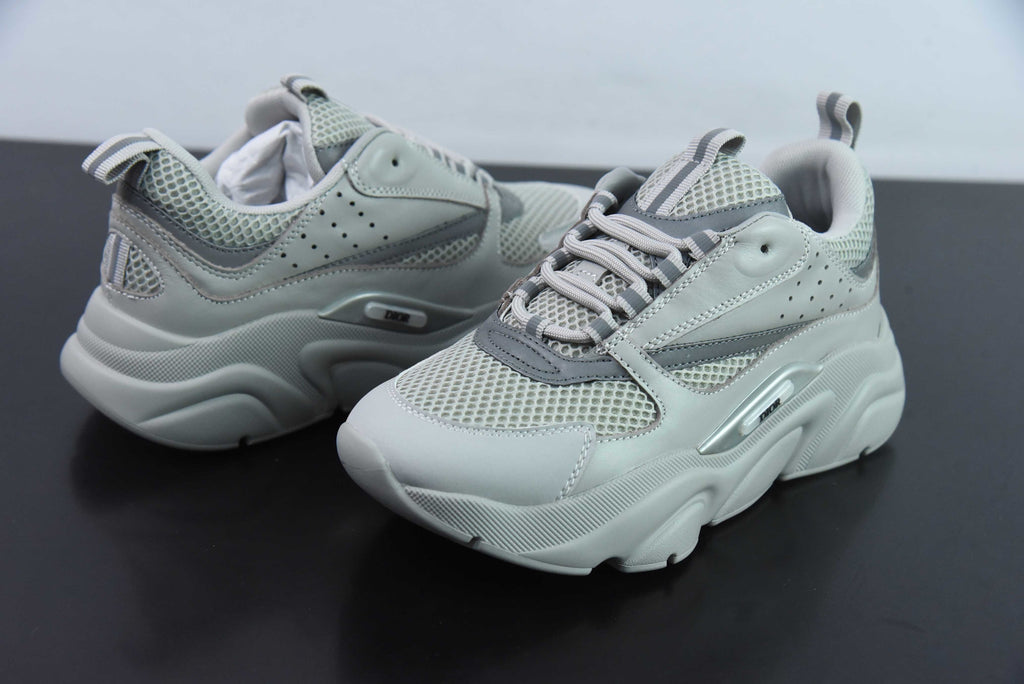 Dior B22 Gray