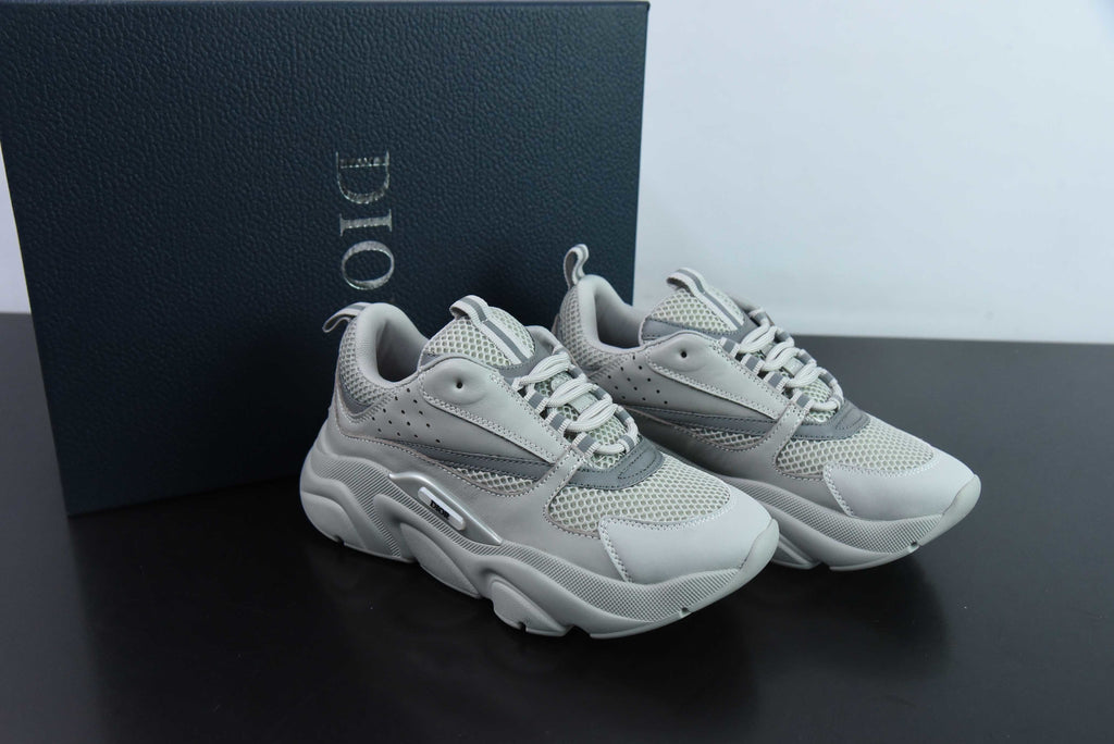 Dior B22 Gray